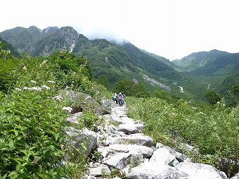 小池新道