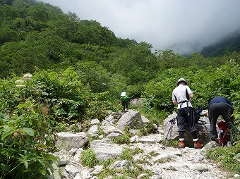 小池新道