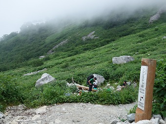 シシウドヶ原