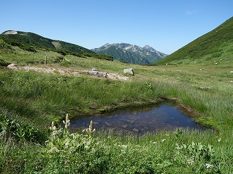 笠ヶ岳