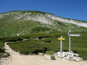 巻き道ルート分岐