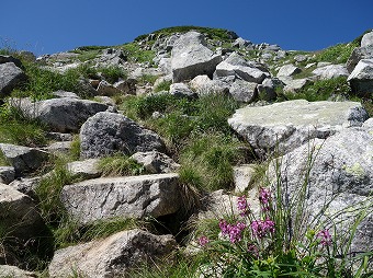 双六岳へ