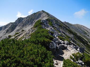 薬師岳へ