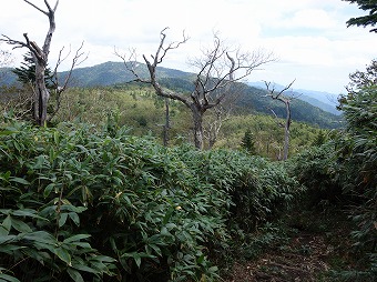 赤石山へ