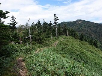 忠右衛門新道