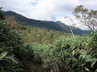 金山沢ノ頭へ