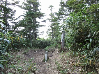 寺小屋峰