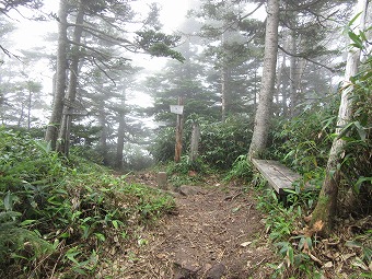 金山沢ノ頭