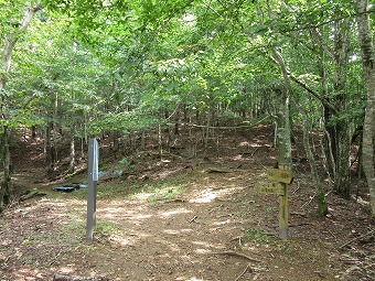 大マテイ山分岐