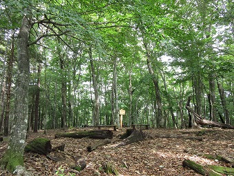 大マテイ山