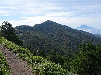 小金沢山　富士山