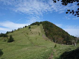 熊沢山