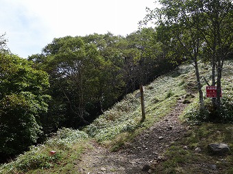 牛ノ寝分岐