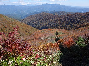 武尊山見つつ