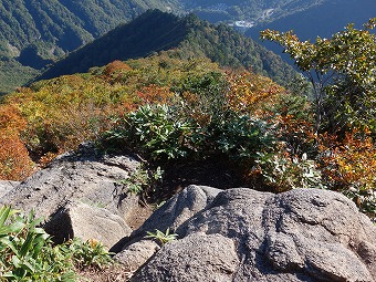 土合へ樹林帯の急下り