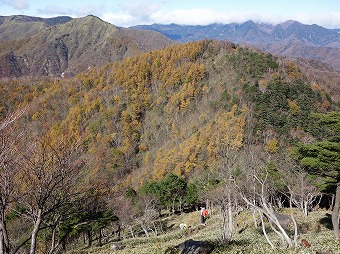 半月峠へ急下り