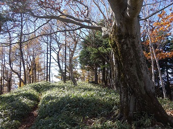 中禅寺山