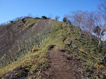 社山へ