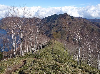 半月山見つつ