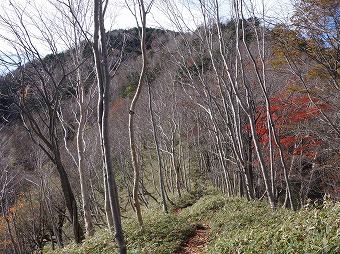 半月山へ