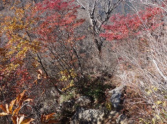 清八峠へ