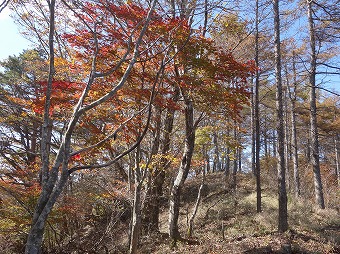 女坂峠へ