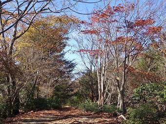 横倉山