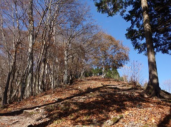 大持山へ