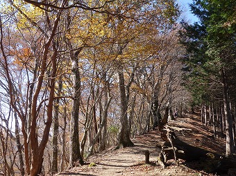 大持山へ