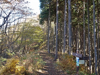 小河内峠