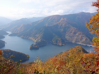 サス沢山