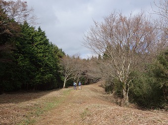 鷹巣山へ