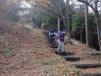 鷹巣山から急下り