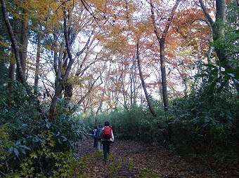 湯坂路