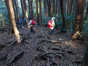 湯坂路