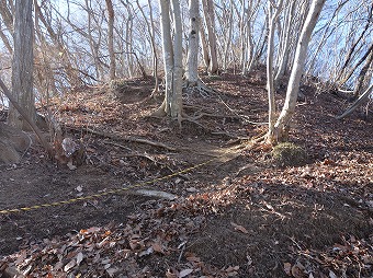 高川山へ