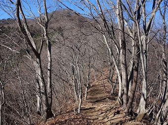 高川山へ