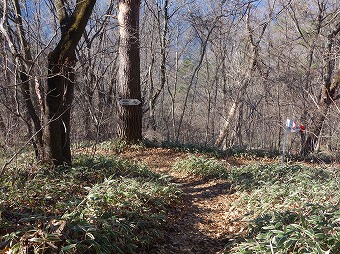 羽根子山分岐