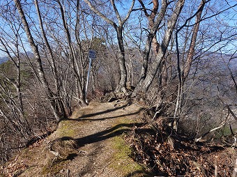 羽根子山