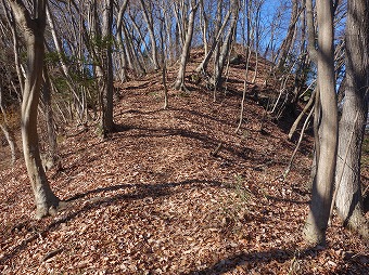 高川山へ