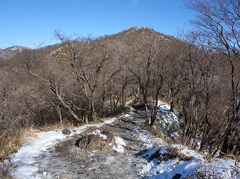 塔ノ岳へ