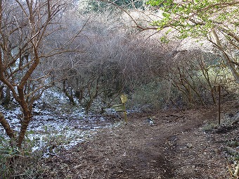 明星ヶ岳・明神ヶ岳　分岐