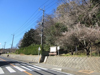 「吾妻山公園」（梅沢口）