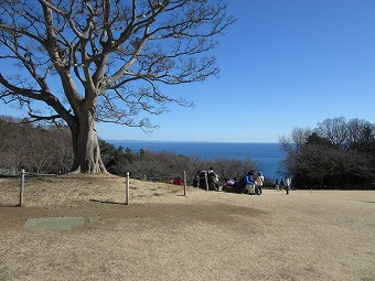 吾妻山公園　展望広場