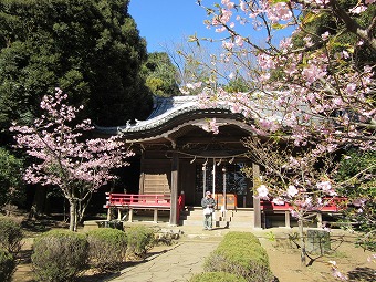 吾妻神社