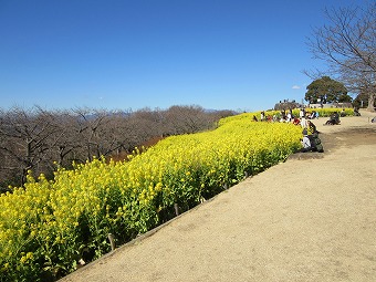 吾妻山公園