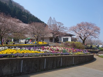 花の苑地