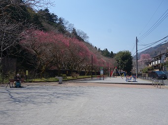 駒木野公園