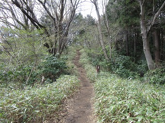 南高尾山稜