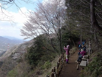 富士見展望ベンチ